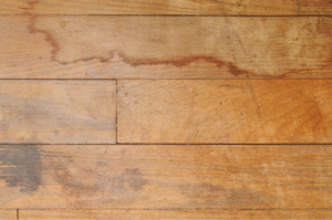 Hardwood flooring planks showing water damage