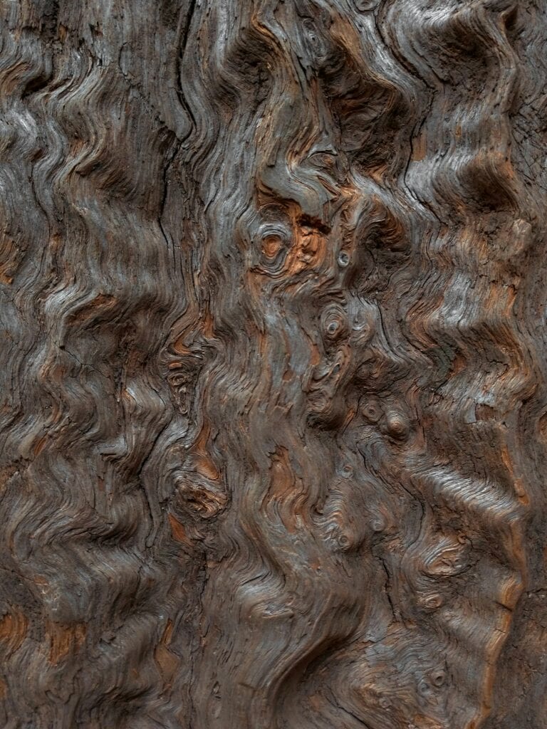 Bumpy hardwood texture
