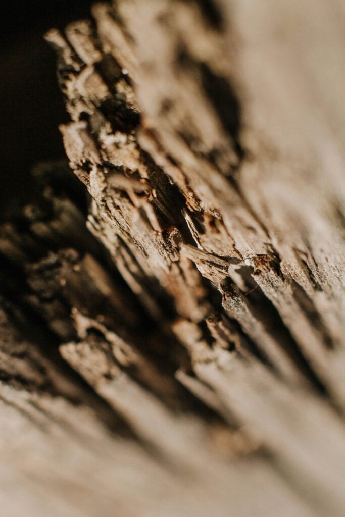 Jagged wood texture representing Reclaimed hardwood flooring collection