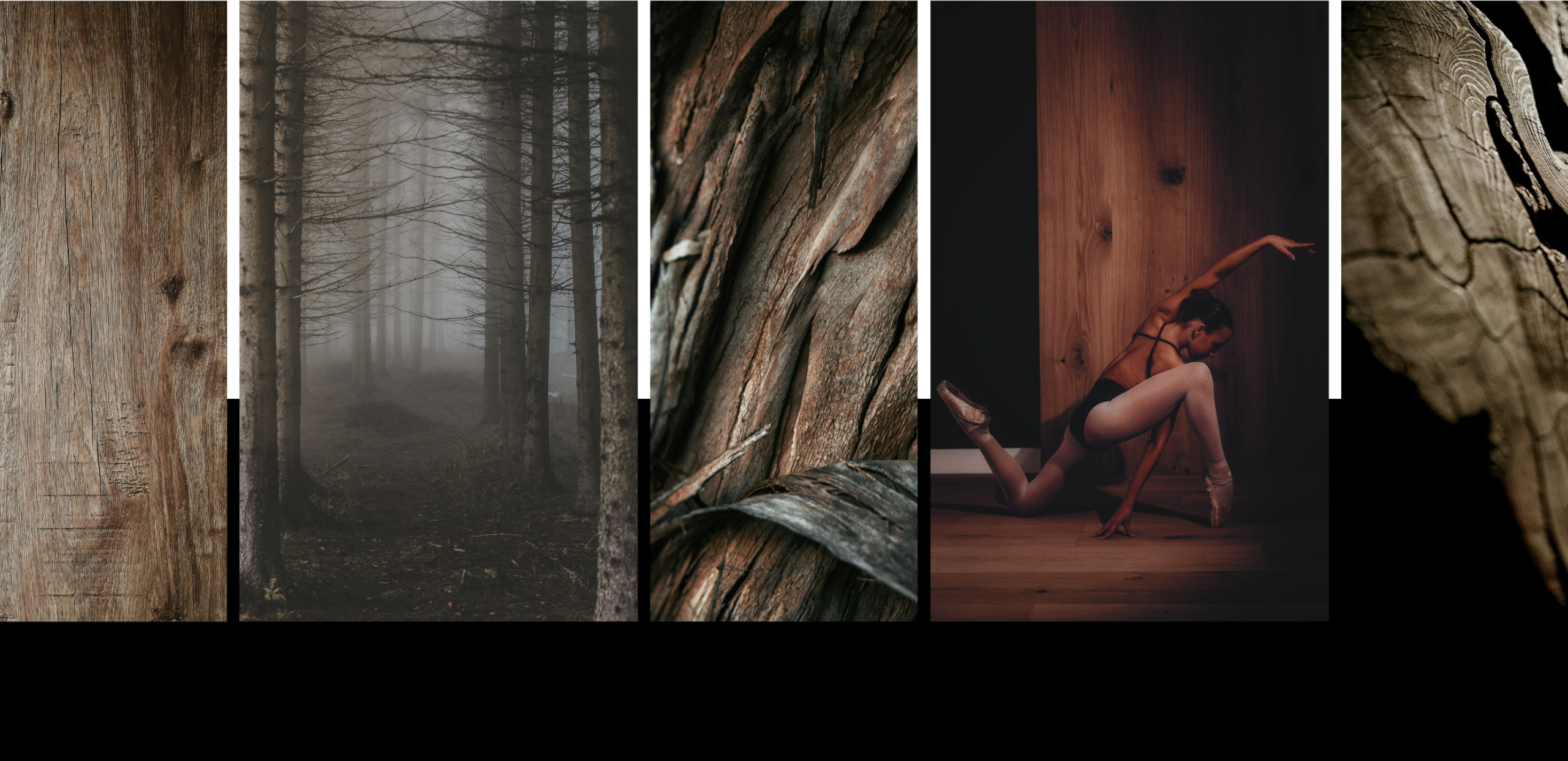 Series of images representing the art of hardwood flooring