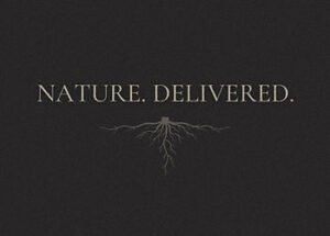 How Hardwood Floors Improve Indoor Air Quality