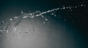 Introducing Maison Plank: Engineered Hardwood Floors for All Applications